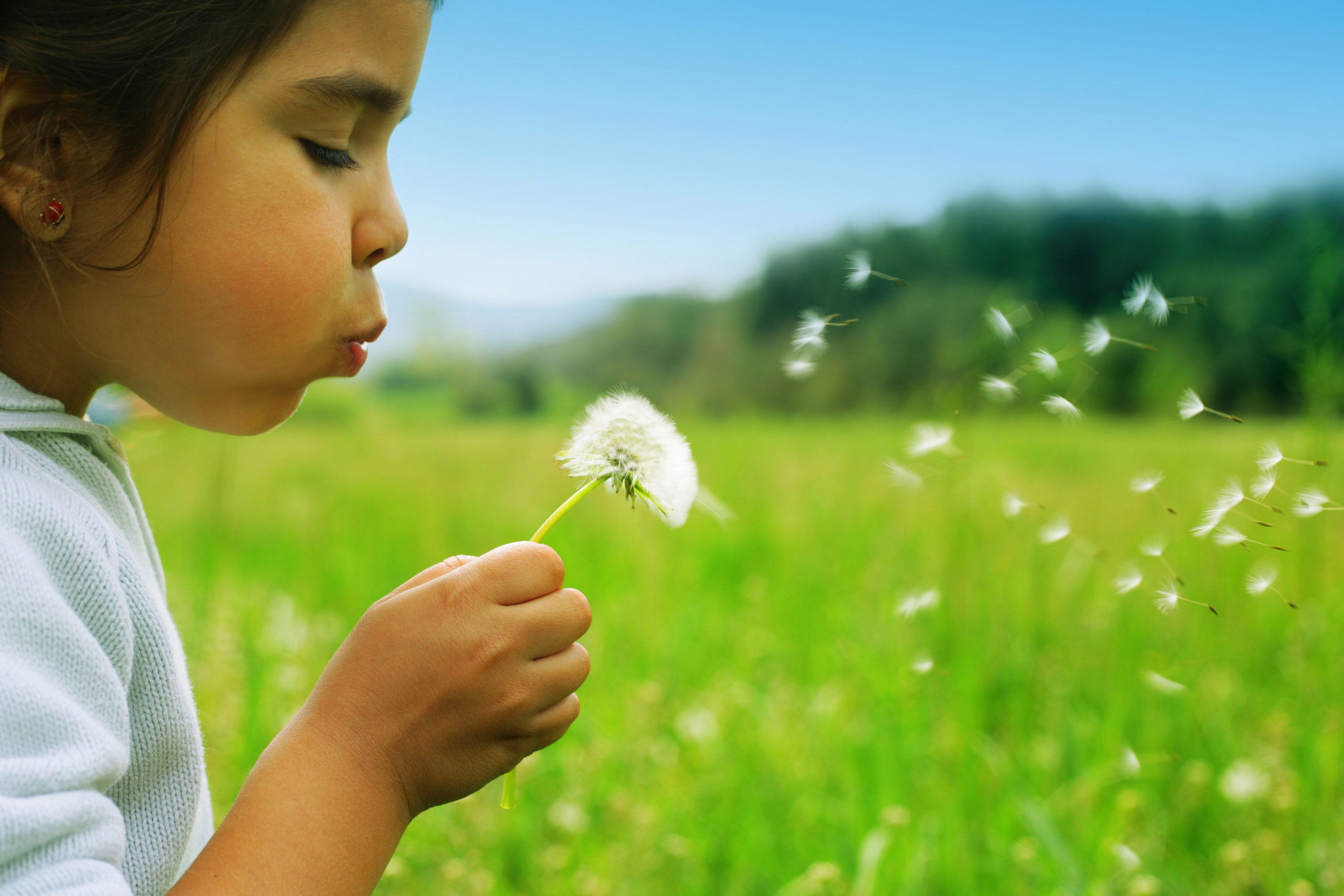 A child wishes on a dandelion, blowing seeds into a green field on a sunny day.